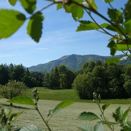 Leitingerhof * Thalgau
