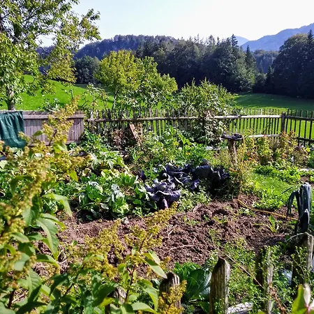 ファームステイ Leitingerhof