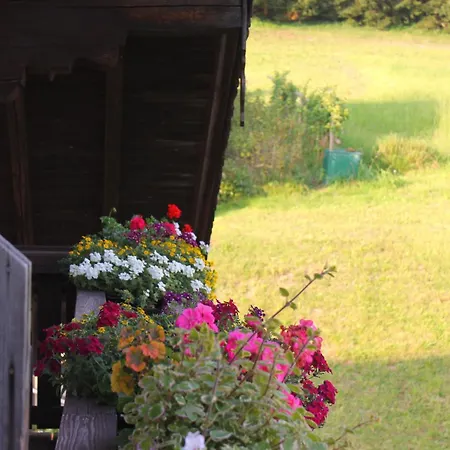 Κατάλυμα σε φάρμα Leitingerhof Thalgau