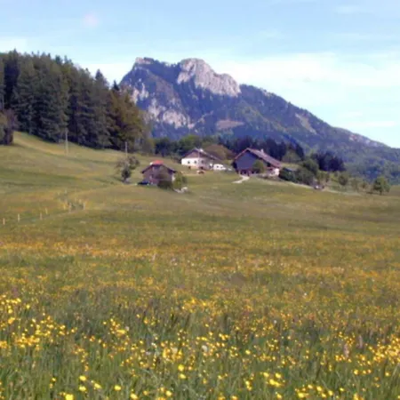 Leitingerhof ファームステイ *