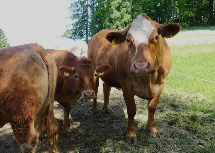 Leitingerhof Thalgau