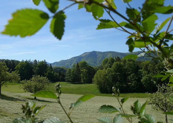 Leitingerhof * Thalgau