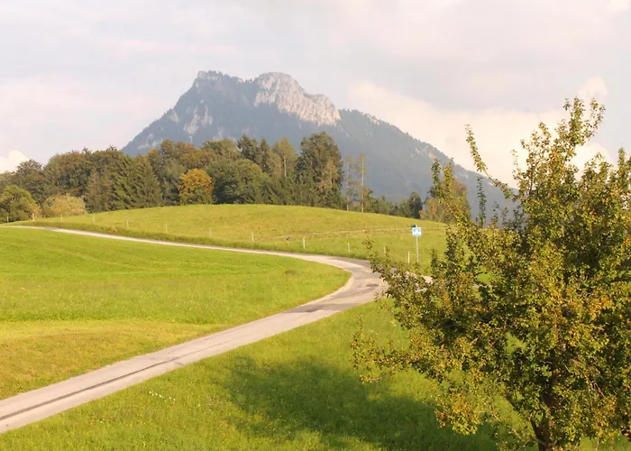 Leitingerhof * Thalgau