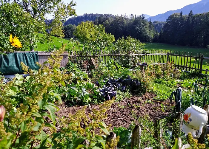 Κατάλυμα σε φάρμα Leitingerhof