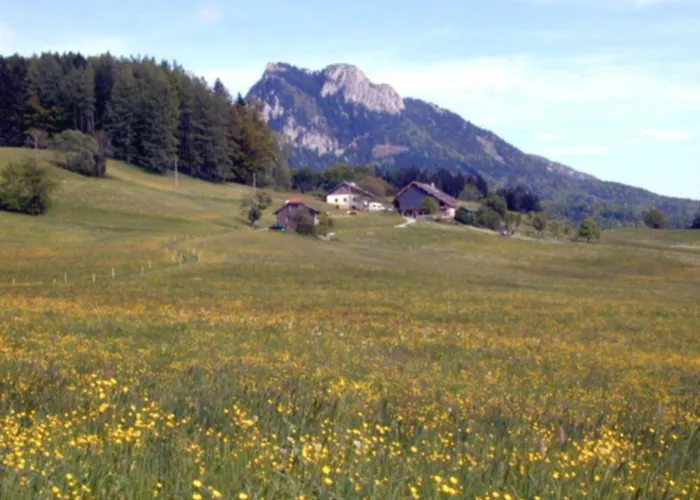 Leitingerhof Agroturismo *